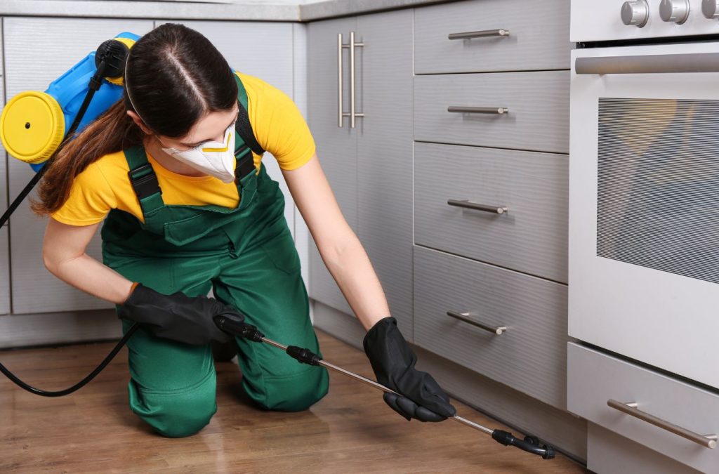 Why Pest Solutions Plus is the top choice for pest control services in Estero, FL, pest control near me