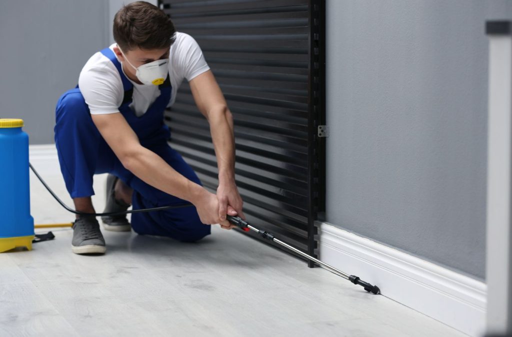 Why Pest Solutions Plus is the preferred choice for pest control services in North Fort Myers, FL, pest control near me