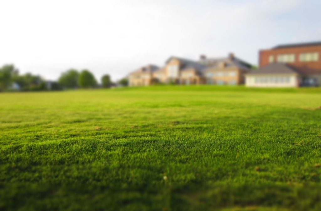 A Pest Solutions Plus team member delivering lawn services in Estero, FL, demonstrating the benefits of using a local professional for this essential service.