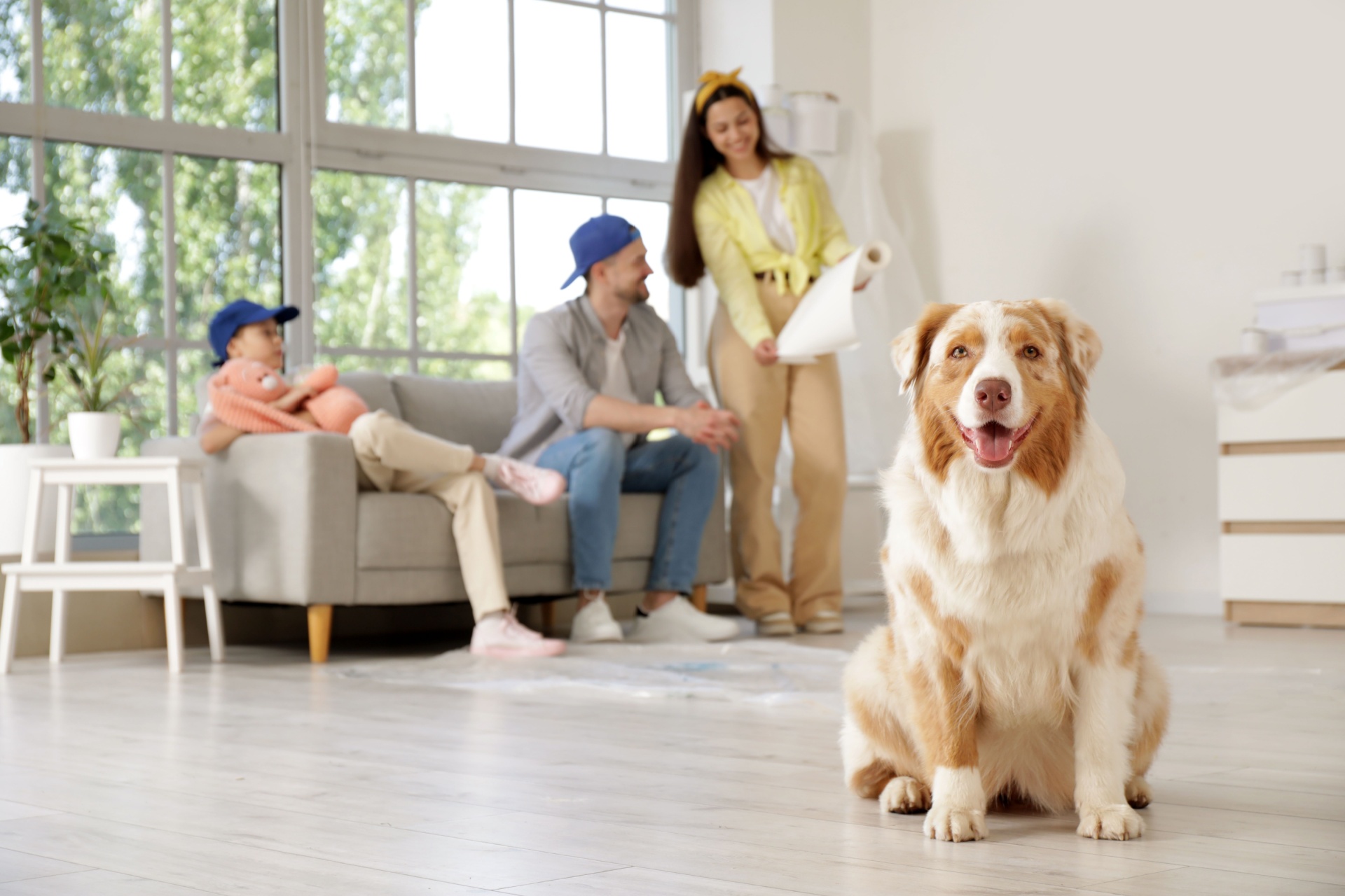 Read more about the article Who’s the Best Pest Control Company in Fort Myers for Pet Owners?