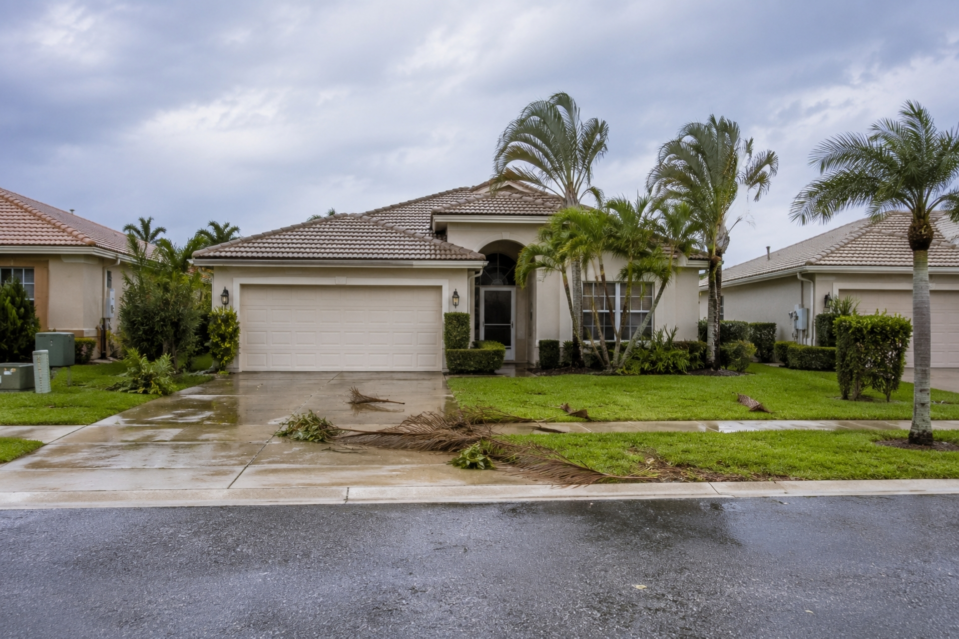 You are currently viewing Hurricane Season Pest Problems: What Fort Myers Homeowners Should Watch For After a Storm