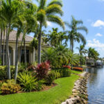 Why Naples Homes Near Water and Dense Landscaping Can Have More Pest Problems