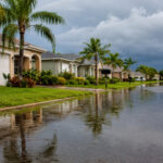 Why Pest Problems Get Worse After Heavy Rain in Southwest Florida